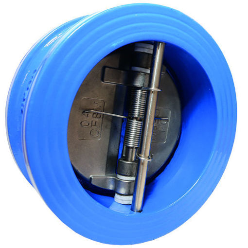 Picture of 65nb CI Wafer Check Valve SS Disc 121