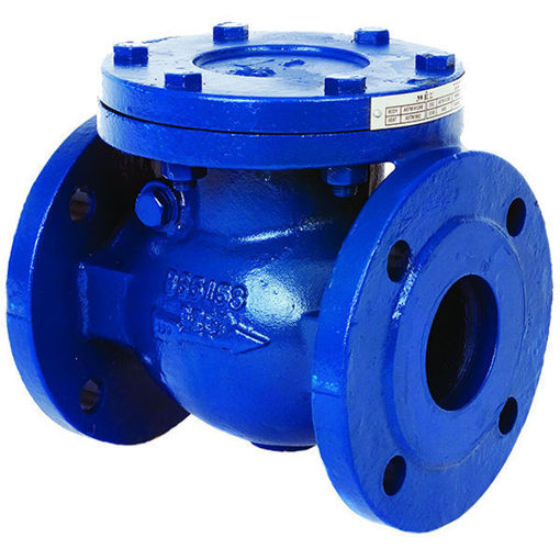 Picture of 65nb C/I Swing Check Valve PN16 170