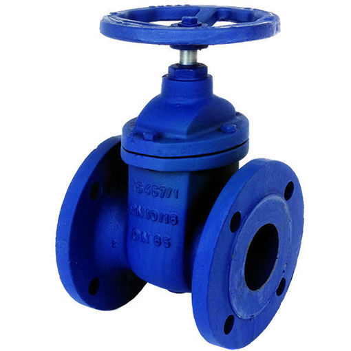 Picture of 100nb NP16 Cast Iron Gate Valve ART 105
