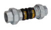 Picture of 80nb Flexible Bellow Bsp Union