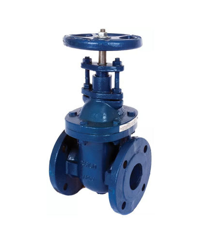 Picture of 65nb Cast Iron Gate Valve PN16 235