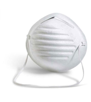 Picture of Disposable Dust Mask