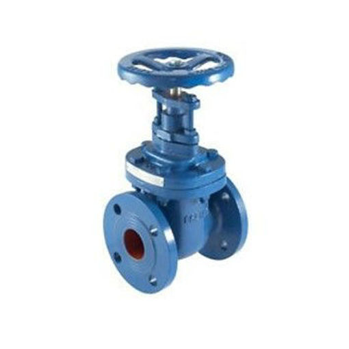 Picture of 100nb Hatts M541 C/I Gate Valve PN16