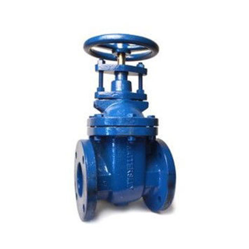 Picture of 65nb Hatts M549 C/I Gate Valve PN6