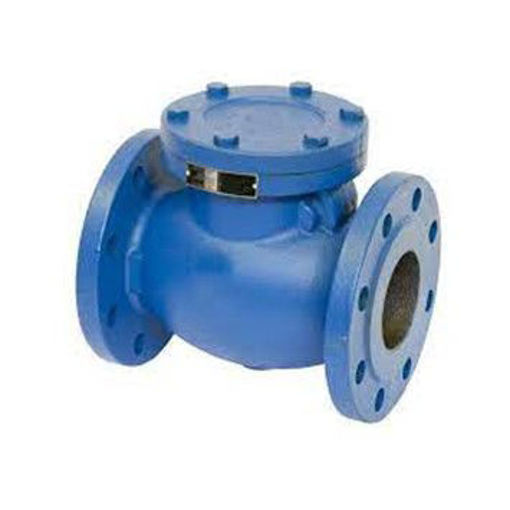Picture of 65nb Hatts M650 C/I Swing Check Valve PN25