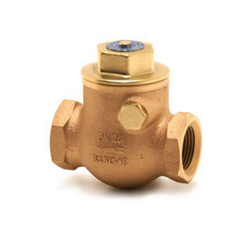 Picture of 20nb Pegler GM Swing Check Valve 1060A