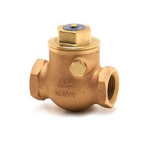 Picture of 25nb Pegler GM Swing Check Valve 1060A