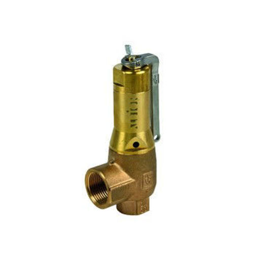 Picture of 3/4" SBS 645 Safety Valve Set @ 3.0 Bar