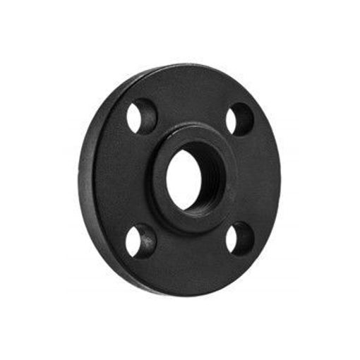 Picture of 25nb ASA150 Flange Screwed BSP