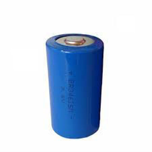 Picture of D Battery (2 Pack)