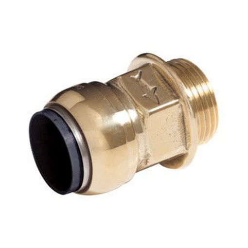 Picture of 22mm x 3/4" Sharkbite BSP Male Connector (Parallel Thread)