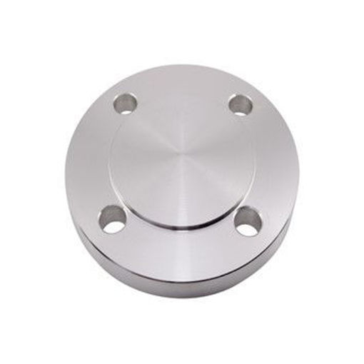 Picture of 3/4" Stainless 16/8 Blank Flange-316L