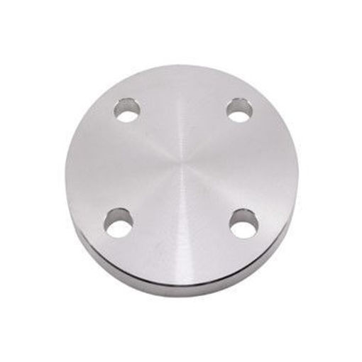 Picture of 1/2" Stainless T/E Blank Flange 316L