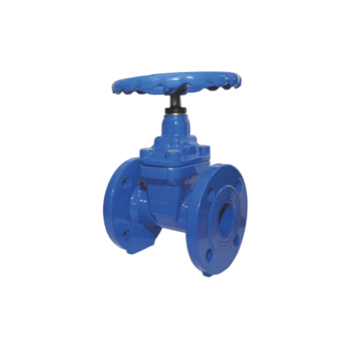 Picture of 2" CORE 391 PN16 WRAS Ductile Iron NRS Resilient Seat Gate Valve 