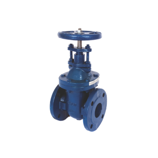 Picture of 6" CORE 395 PN16 Cast Iron Gate Valve Handwheel BS5150